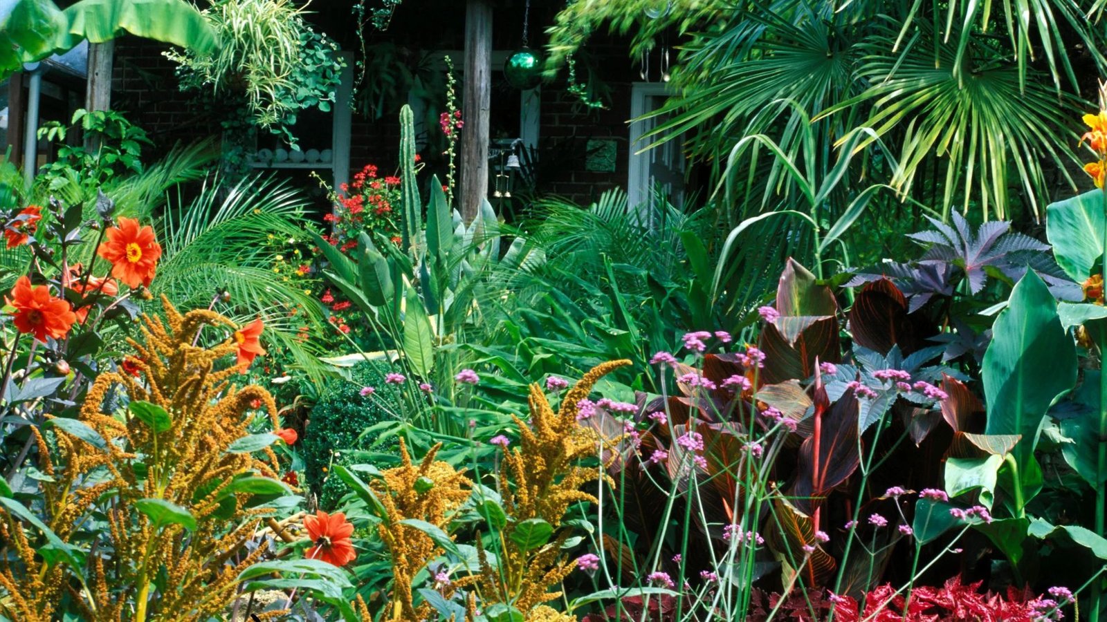 this image shows different types of Flowers for Tropical Garden Designs