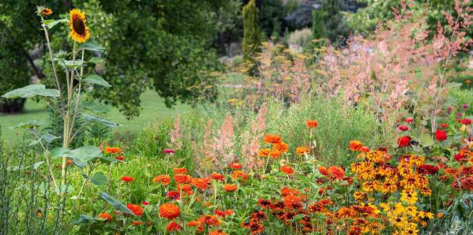 Tips for a Vibrant Garden