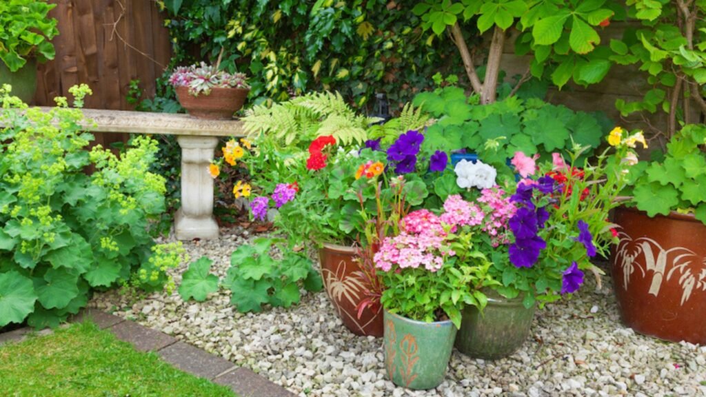 this image shows How to Choose Flowers for a Shade Garden