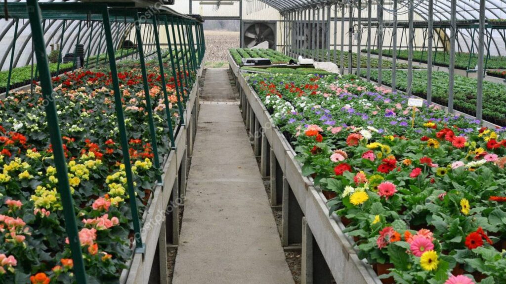 Flowers in a Greenhouse