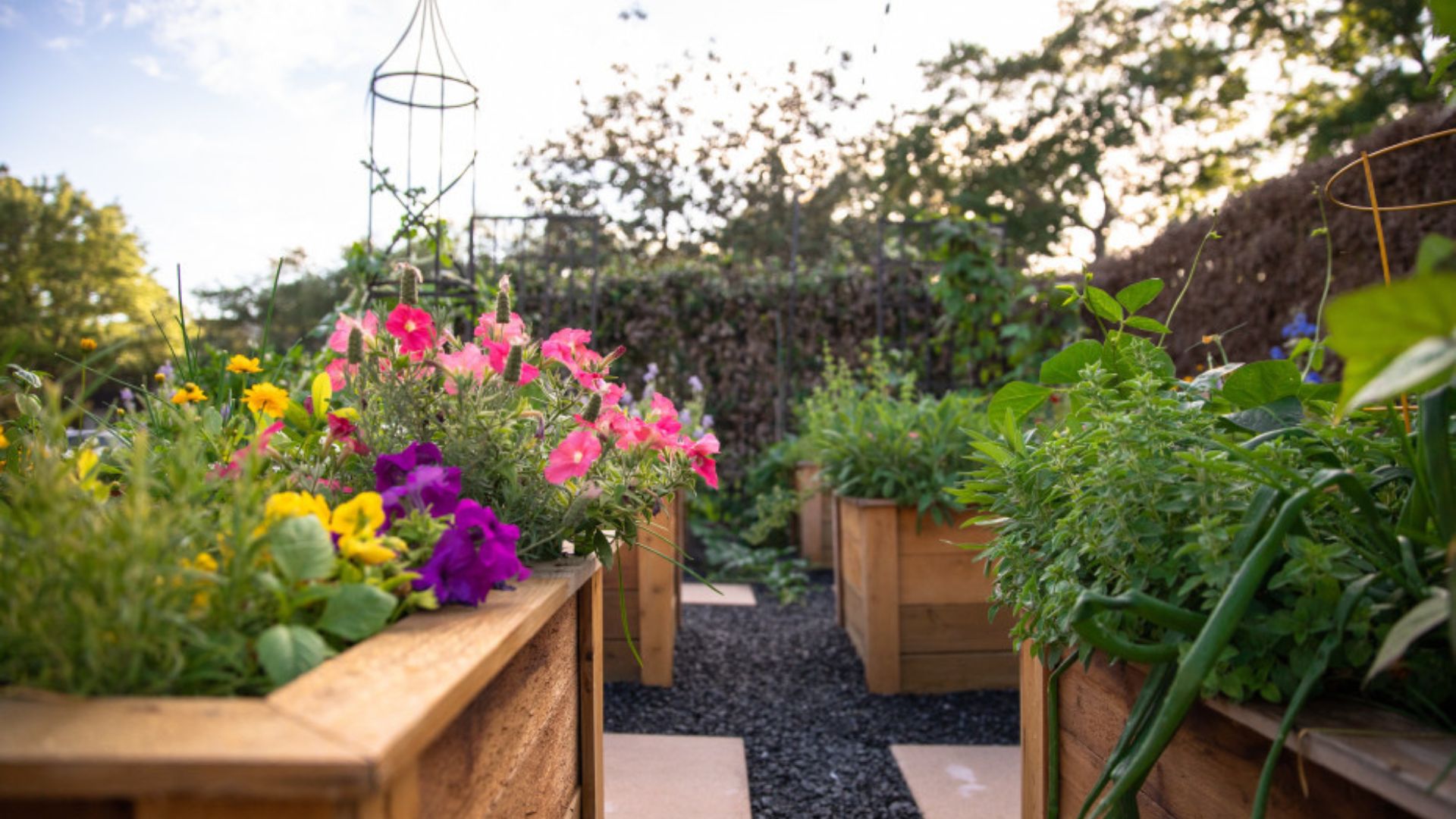 Growing Flowers in Raised Beds